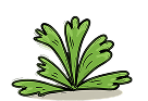 grass-icon