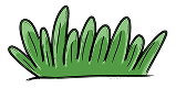 grass